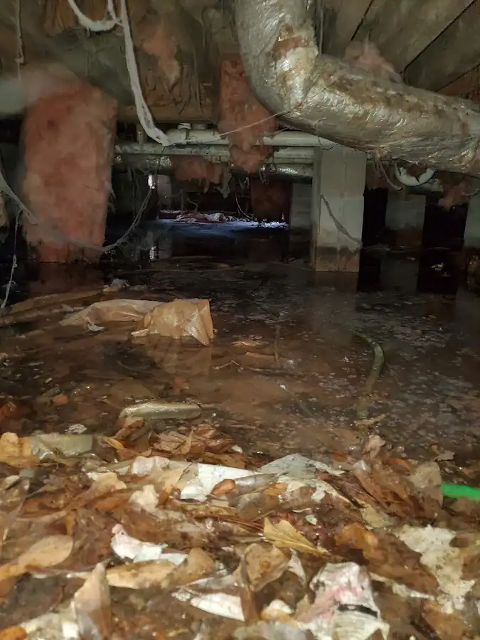 Crawl space flood assessment for Commercial Water Damage Restoration in Marco Island