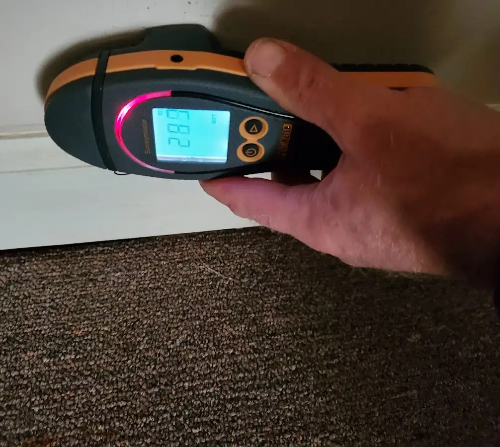 Moisture detection at baseboard during Burst Pipe Cleanup in Marco Island